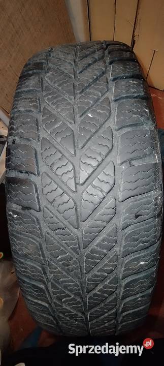 Opona Dębica Frigo 15 Lublin