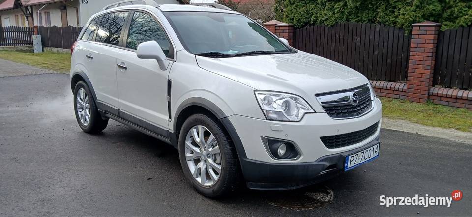 Antara Cosmo 4x4 BMW Gniezno