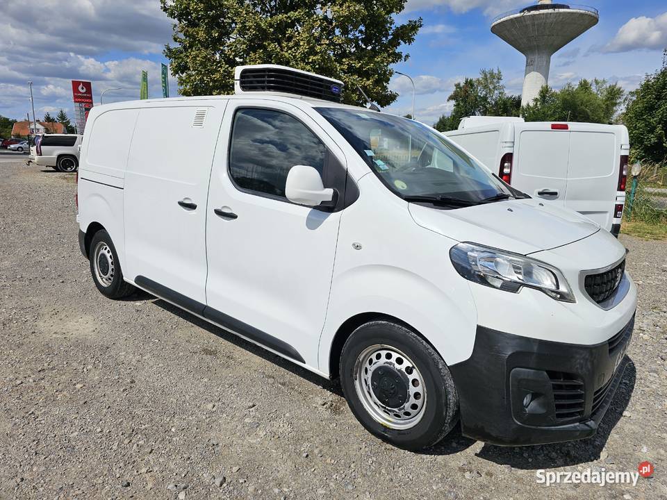 Expert CHLODNIA CARRIER chlodzi grzeje klima nieuszkodzony Peugeot Tarnobrzeg