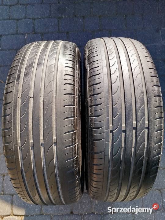 2056016 Lato Para Gniewkowo