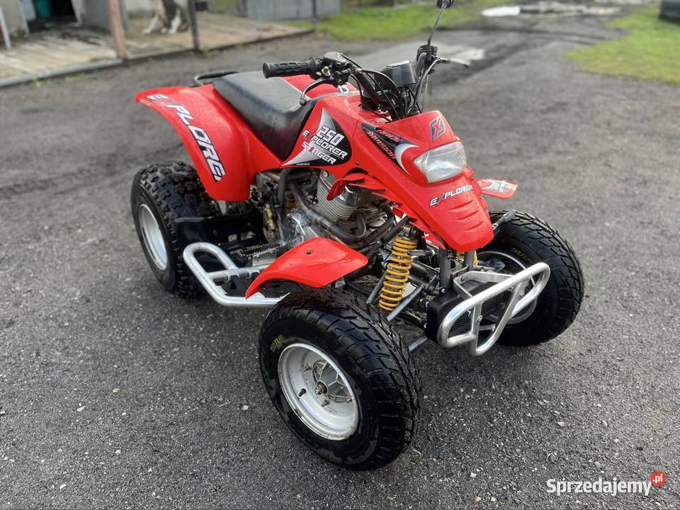 Sprzedam barosse 250 zarejstrowana Pleszew