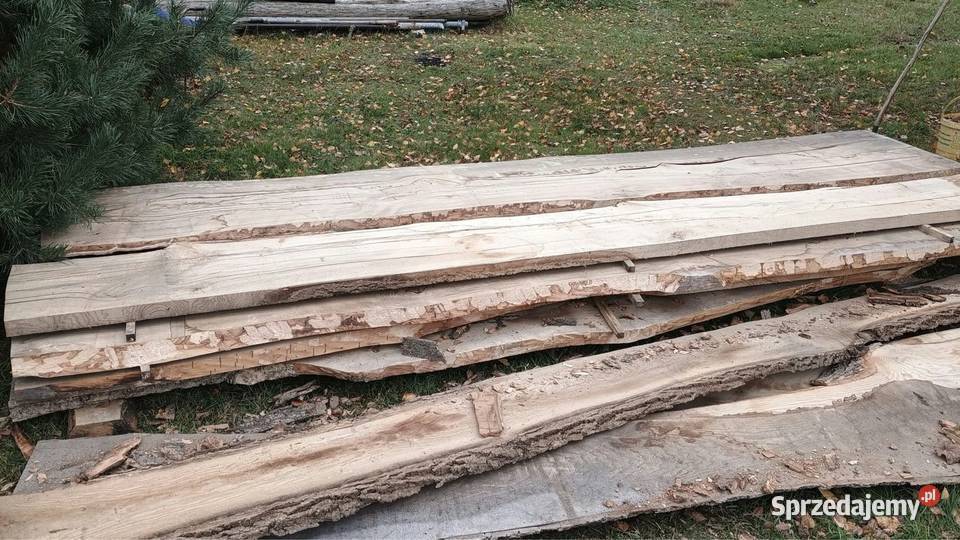 Jesion Bale Blaty Monolit okazja Siemień