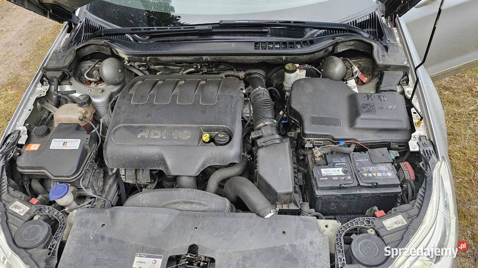 Sprzedam Citroena C5 exklusive Duczki