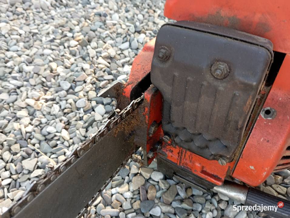 Polska piła dolpima podkarpackie Nisko