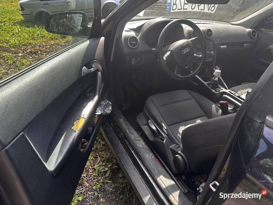Części Audi A38P 19 TDI BLS LZ8Y