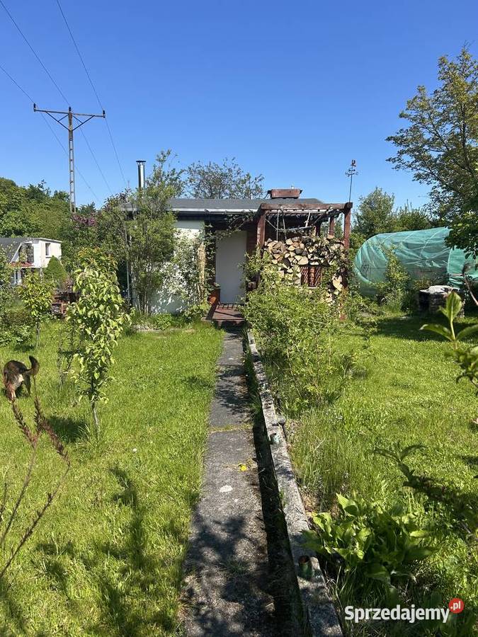 Sprzedam działkę ROD rekreacyjna Gdynia