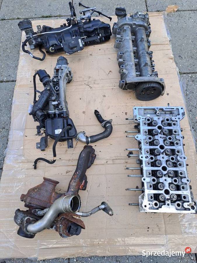 Opel Insignia 20 CDTi A20DTH głowica 55576540 i Jastrzębie-Zdrój