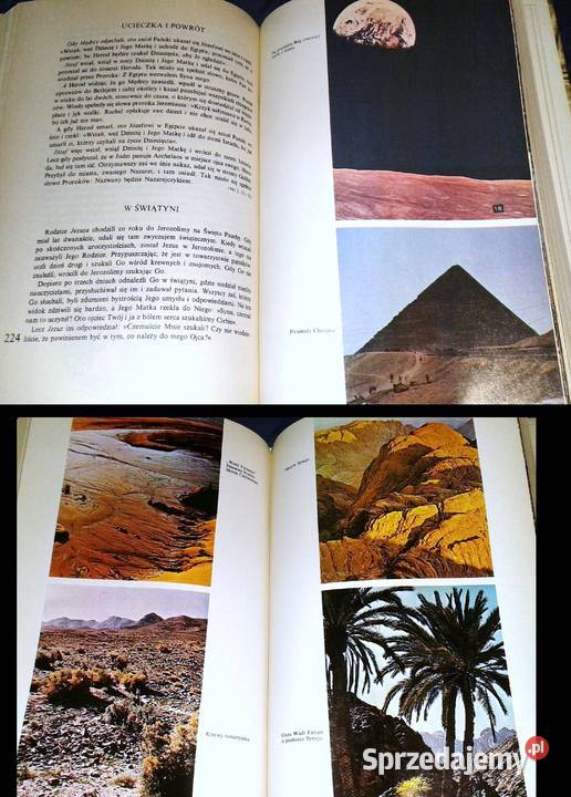 Dzieje przymierza Paweł Pachciarek twarda z obwolutą Chełm