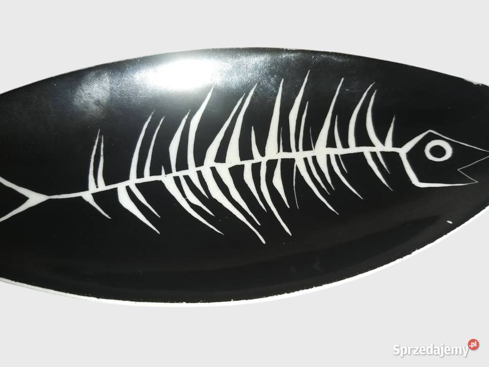 Look Paterka patera ryba Drasche węgierski Bronisze
