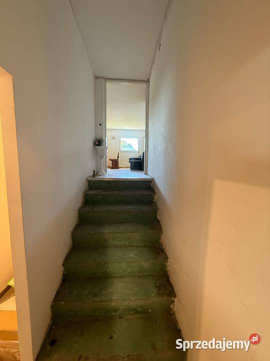 Magazyn 1000 m do wynajęcia Duża działka sprzedam