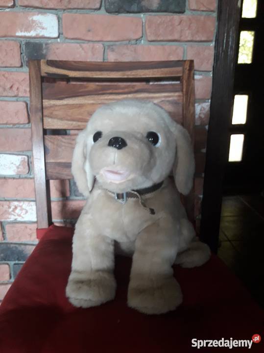 Interaktywny piesek Woofie IMC Toys Tkanina  Toruń sprzedam