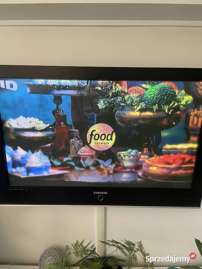 Telewizor Samsung 42 plazma Gdańsk