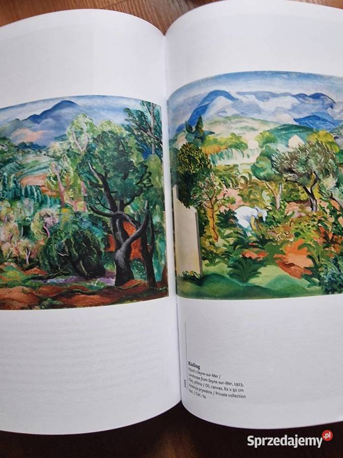 Kisling Lśnienie Montparnassu