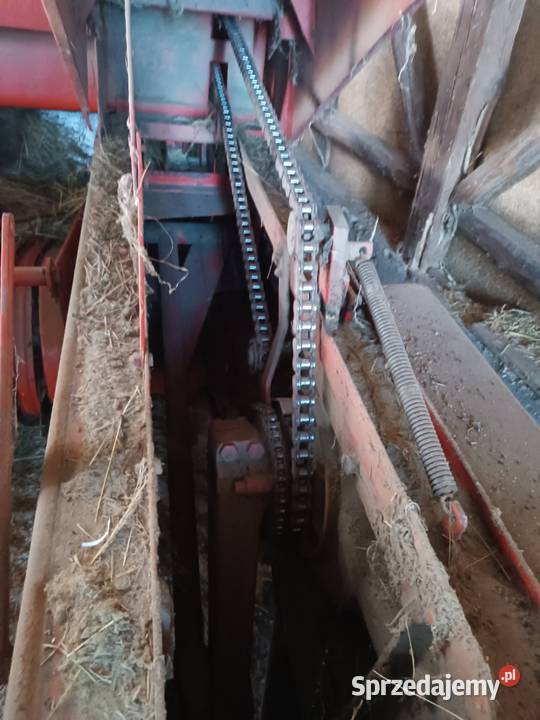 Sipma z224 Kostkujące Biała Wielka