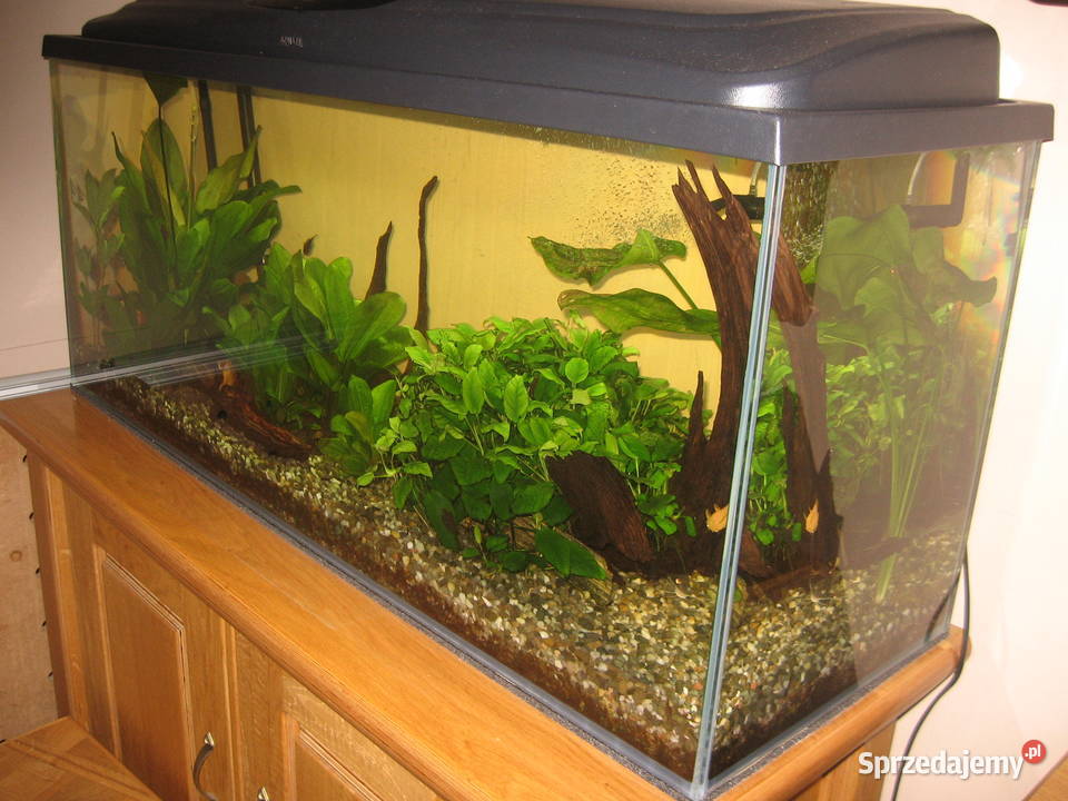 Akwarium 120x40x50m szkło 10mm Optiwhite śląskie Sosnowiec