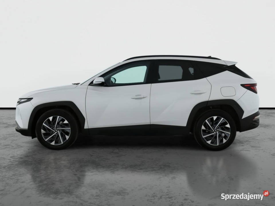 Hyundai Tucson 16 TGDI 48V MHEV hybryda lubelskie Lublin sprzedam