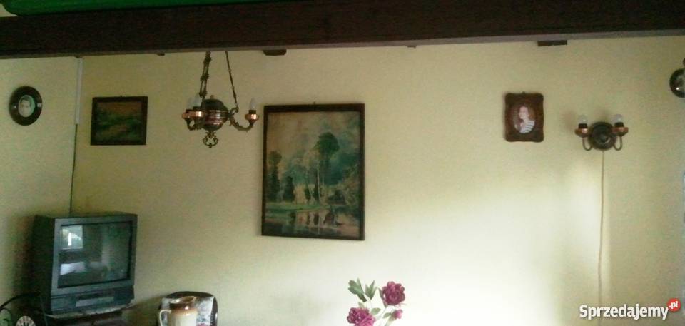 Sprzedam działkę ROD Otowo Lusowo Sierosław 12 Otowo