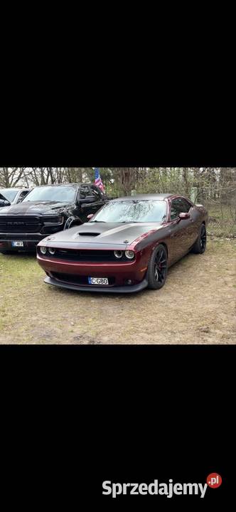 Dodge challenger sprzedam