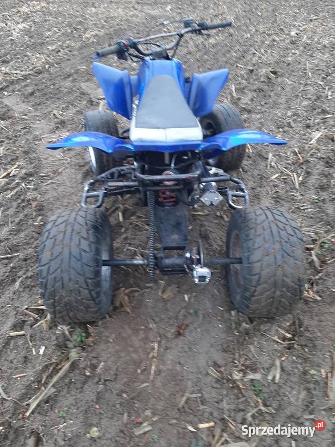 quad atv eagle bashan 250 kujawsko-pomorskie Jaworze