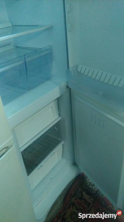 Lodówka INDESIT ACLASS 52cm Wrocław