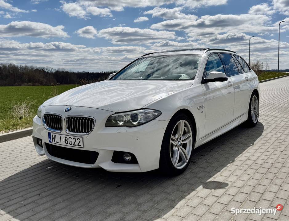 BMW 520d seria 5 Świetny stan Kombi Lidzbark Warmiński
