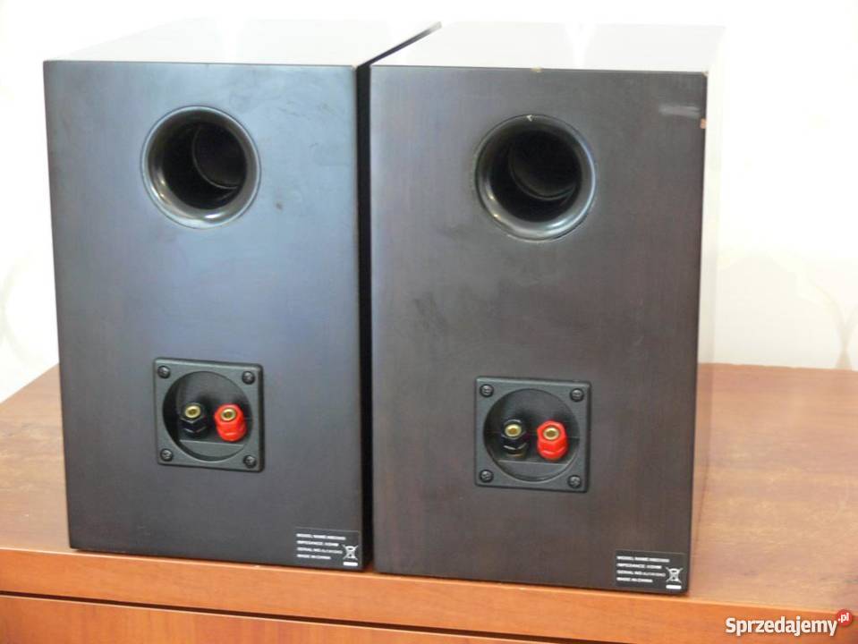 Monitory Philips MBD 3000 mocne i sprawne Jasło