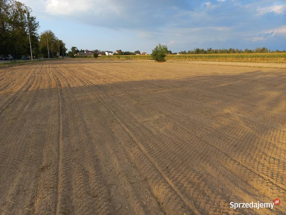 GLEBOGRYZARKA SEPARACYJNA MICHÓW USŁUGI