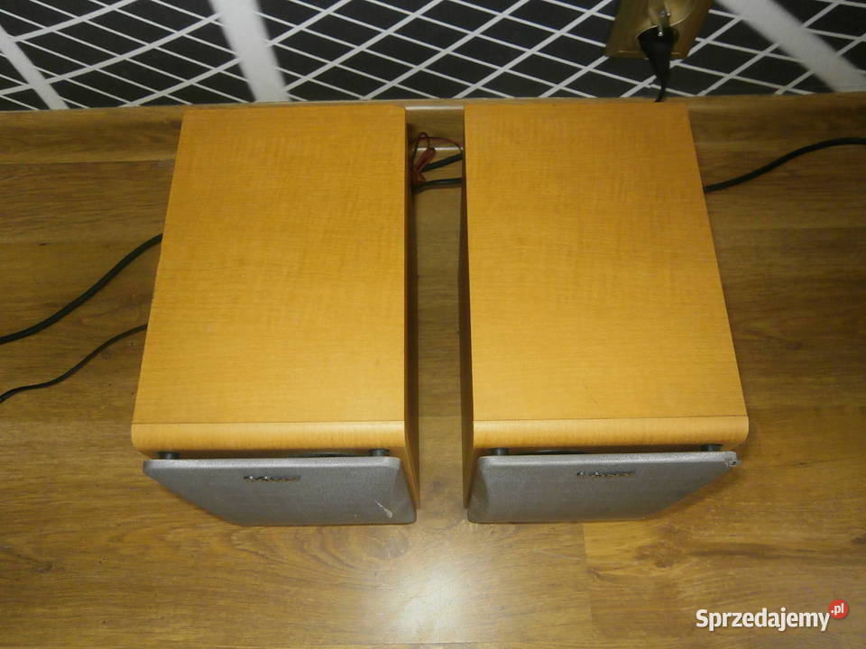 Kolumny SONY SSCCP1 sprawne ładne Łódź