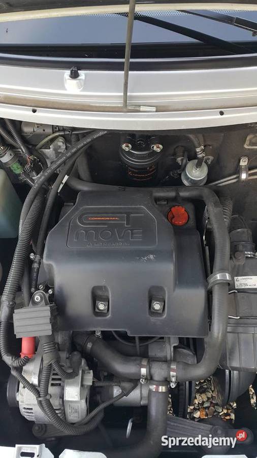 sprzedam ligier kujawsko-pomorskie Nowa Wieś Notecka sprzedam