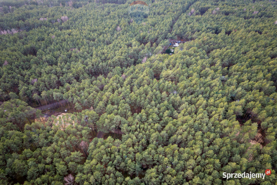 Sprzedażdziałka z MPZP1900 m2Łosie Radzymin 35.5m Nieruchomości