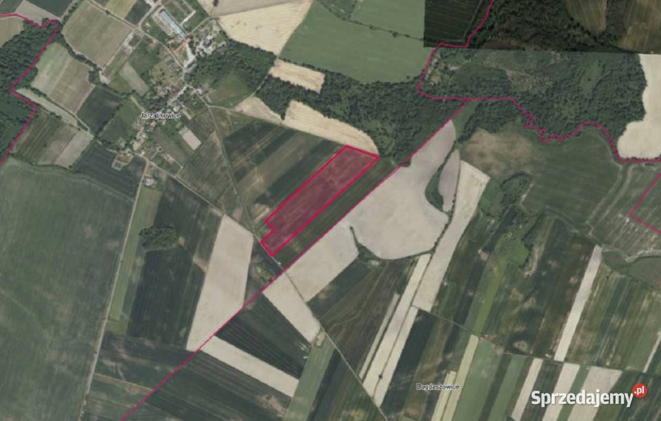 Kompleks działek w Jarząbkowicach Jarząbkowice