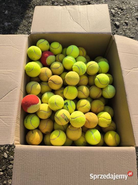 Używane Piłki Tenisowe na Sprzedaż Wrocław