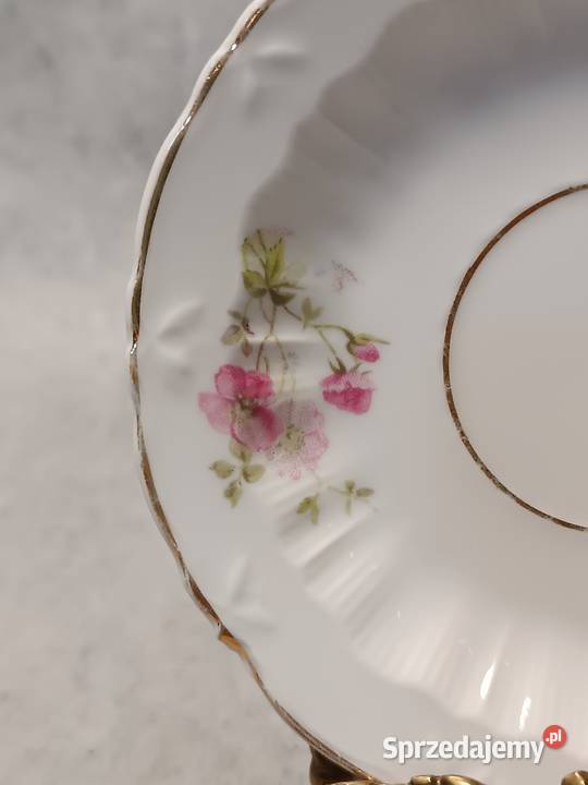 CT CARL TIELSCH Duet Filiżanka w Kwiaty Silesia Jelenia Góra