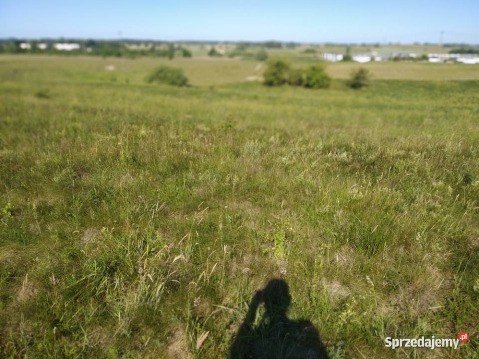 do miasta i do lasu z działki Jesionowo