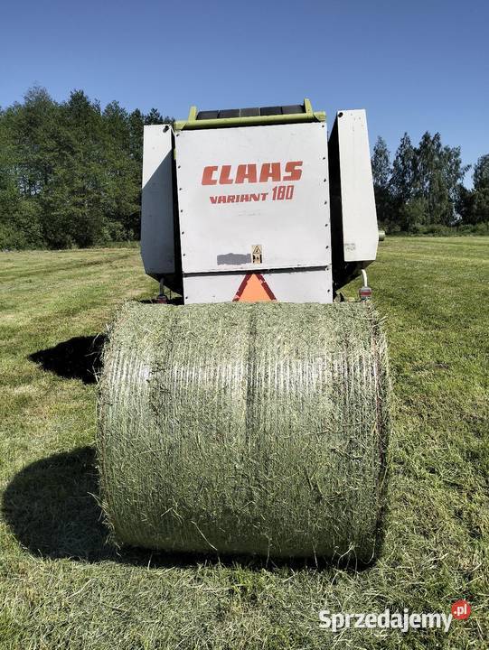 Siano 120120 Włocławek