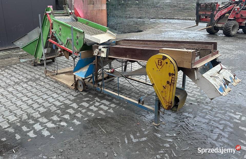 Sortownik do ziemniaków nieuszkodzony wielkopolskie Pleszew