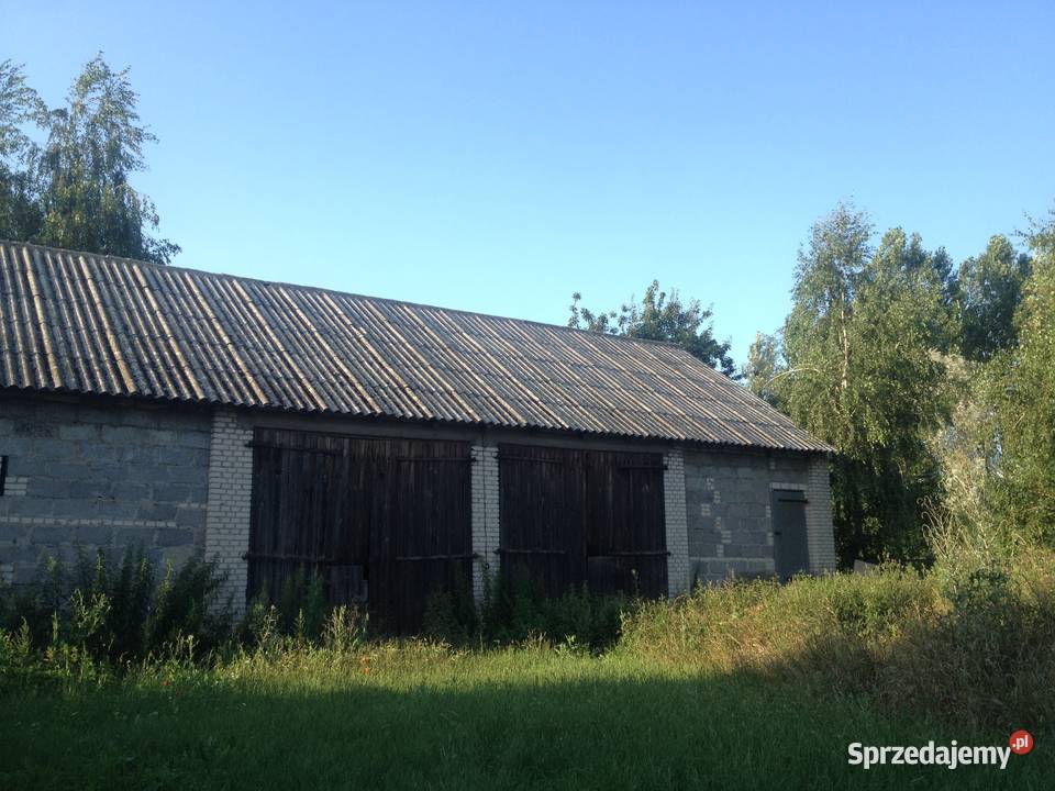 Do sprzedania gospodarstwo dom i zabudowania Zakrzewek