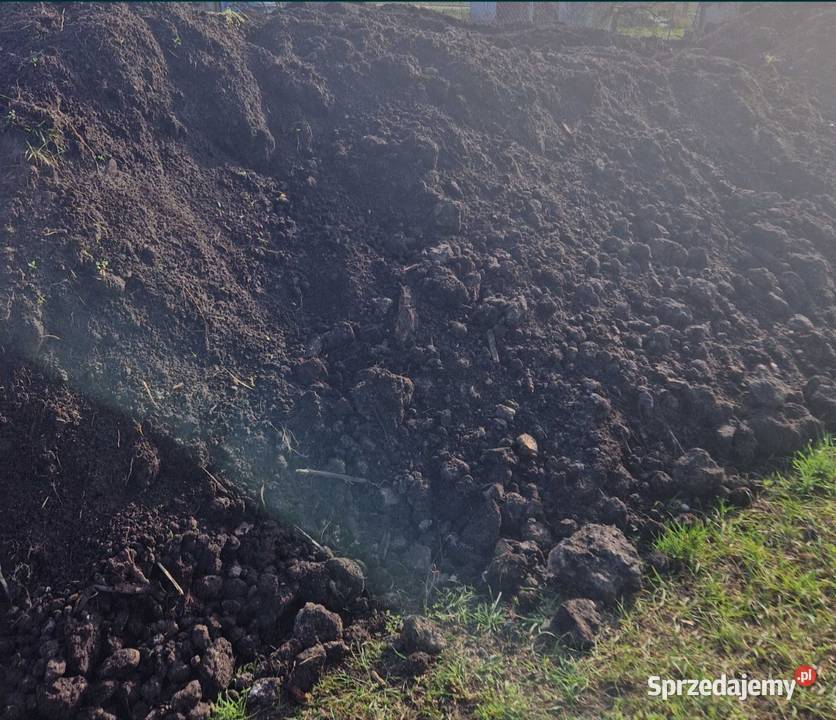 Czarnoziemziemia ogrodowa zachodniopomorskie Choszczno