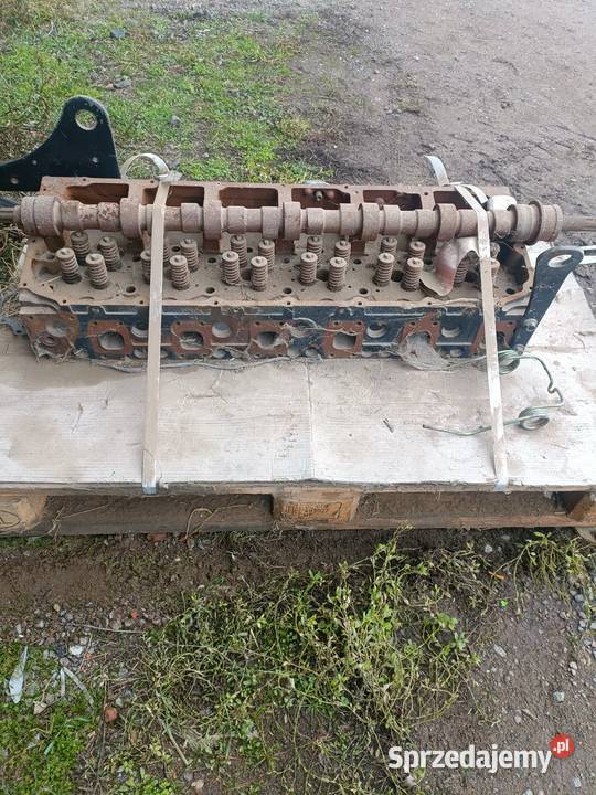 Głowica case magnum Leszno