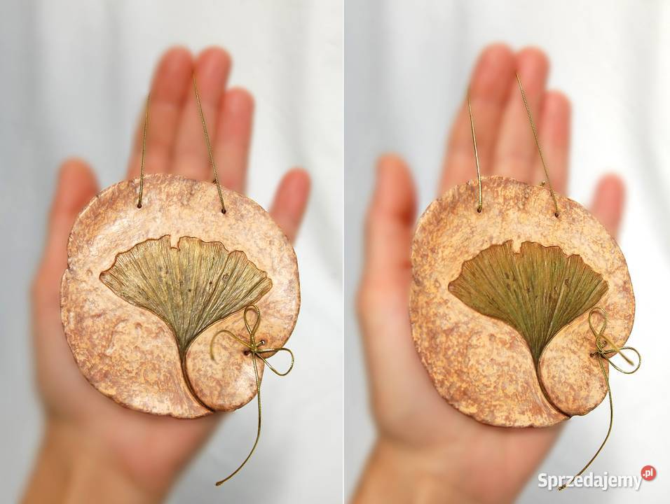 Miłorząb japoński gingko biloba liść zawieszka z Dom i Ogród lubelskie Lublin