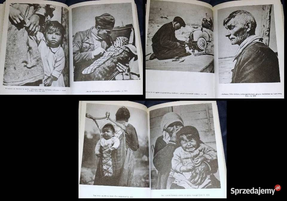 Kanada pachnąca żywicą Arkady Fiedler lubelskie Chełm sprzedam