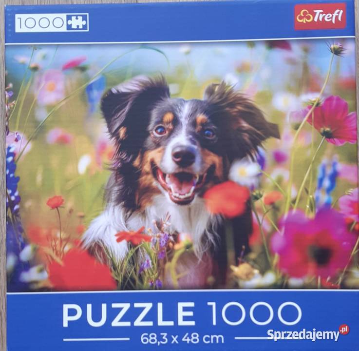 Puzzle Warszawa