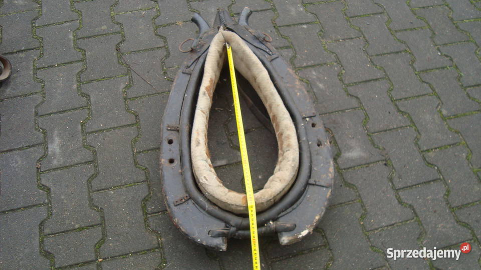 Zaprząg do konia Henryszew