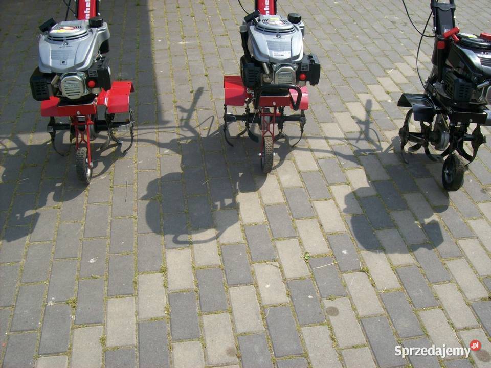 Glebogryzarka spalinowa Einhell GCMT 16361 wielkopolskie Głogowa