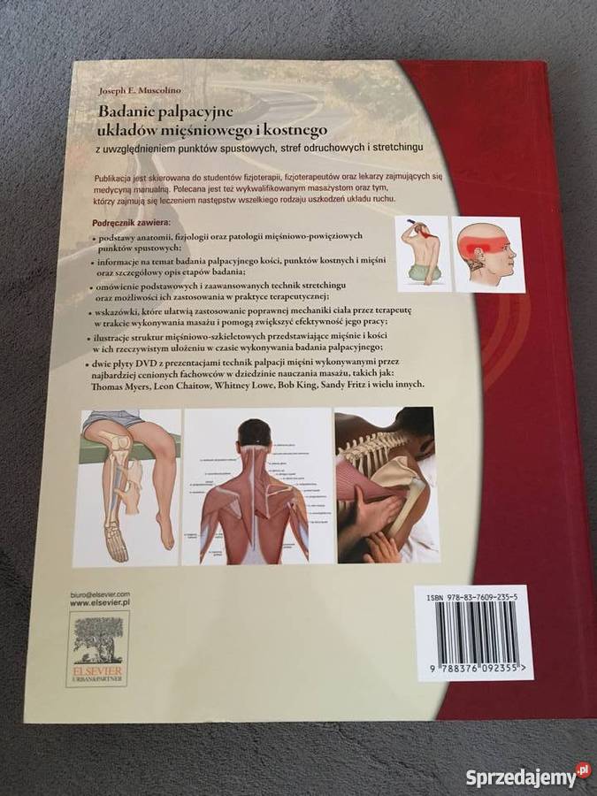Tanio Badanie palpacyjne J Muscolino Książki naukowe i popularnonaukowe Bydgoszcz sprzedam