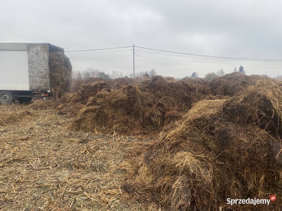Sprzedam obornik koński Radzyń Podlaski