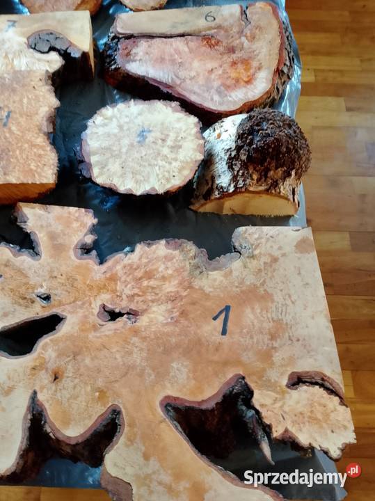 Czeczot topola klon akacja kasztan Nowy Tomyśl sprzedam