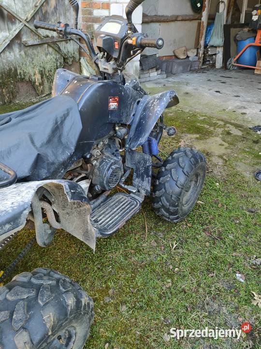 Quad Bashan 150 Czerwonka Poleśna