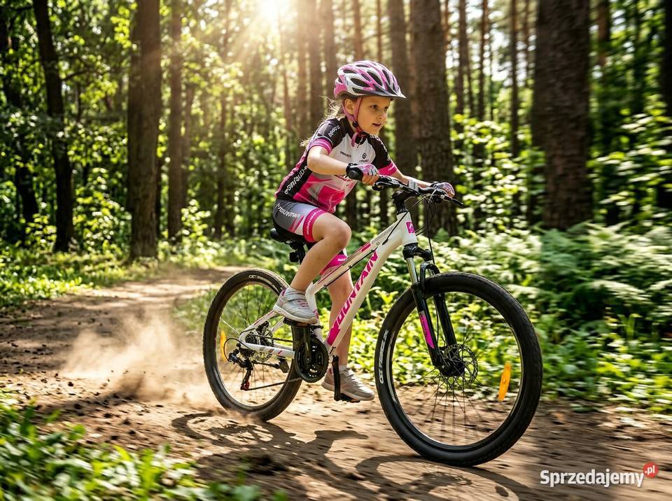 ROWER GÓRSKI MOUNTAIN MTB 24 STALOWY amortyzacja Górskie, MTB Skawina