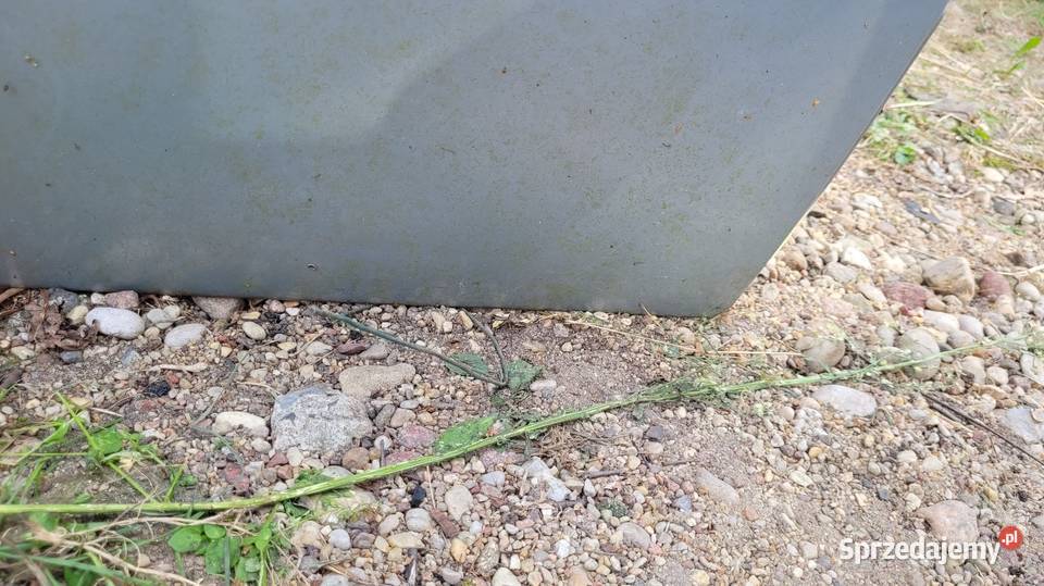 Drzwi Renault Scenic I lift mazowieckie Łagów sprzedam